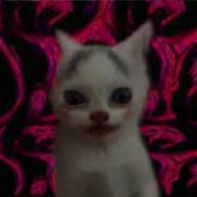 Kitten deadstaring into camera with giygas from Earthbound surrounding him in the background